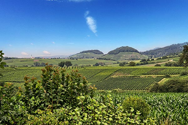Weinregion Markgräflerland