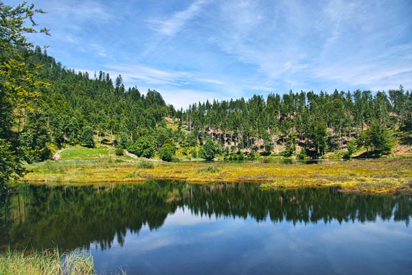 Nonnenmattweiher
