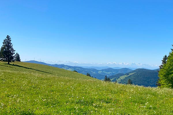 Aussicht von der Stuhlsebene auf dem Belchen