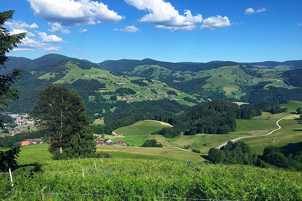 Wanderung auf dem Hirtenpfad rund um Fröhnd